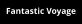Fantastic Voyage