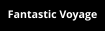 Fantastic Voyage