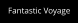 Fantastic Voyage
