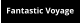 Fantastic Voyage