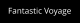 Fantastic Voyage