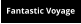 Fantastic Voyage