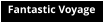 Fantastic Voyage