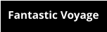 Fantastic Voyage