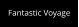 Fantastic Voyage