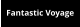 Fantastic Voyage
