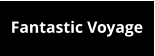 Fantastic Voyage